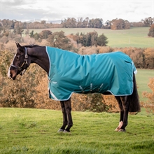 regendecken Amigo bravo 12 Wug lite